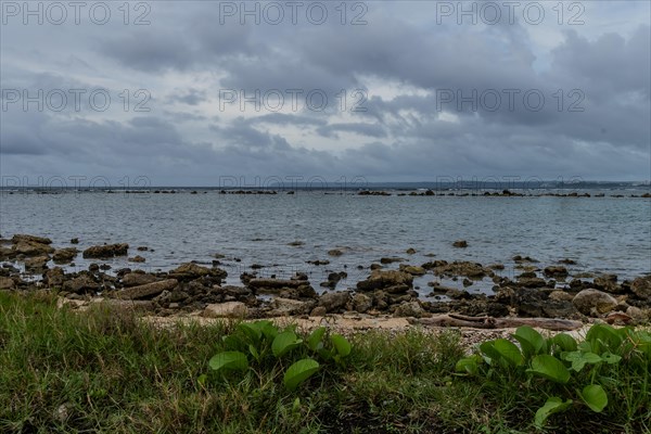 Seascape of rocky shoreline on a cloudy day with buildings on tree lined shore in the distance in Guam