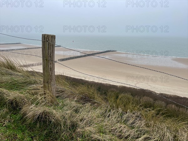 A coastal landscape with dunes, grass and a fence under a cloudy sky, Westkapelle, Zeeland, Netherlands