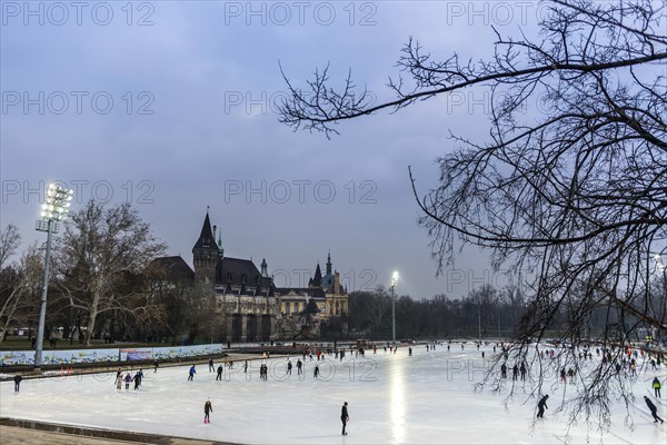 The ice rink in front of the castle, skating, attraction, ice, winter, winter sports, leisure, pleasure, centre, downtown, architecture, history, travel, holiday, city trip, Budapest, Hungary, Europe