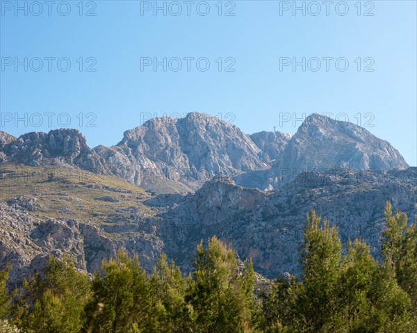 Blue sky over a picturesque, sunny mountain landscape, bare, steep rocky peaks, green trees, pine trees (Pinus) in the foreground, view from the north to the peak Puig Major with radar station, view from the road from Torrent de Pareis to Sa Calobra, Serra de Tramuntana mountains, Majorca, Spain, Europe