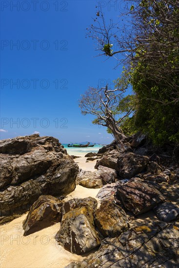 Bamboo Island, boat, wooden boat, longtail boat, bay, sea bay, sea, ocean, Andaman Sea, tropics, tropical, island, rock, rock, water, beach, beach holiday, Caribbean, environment, clear, clean, peaceful, picturesque, stone, sea level, climate, fishing boat, travel, tourism, natural landscape, paradisiacal, beach holiday, sun, sunny, holiday, dream trip, holiday paradise, flora, paradise, coastal landscape, nature, idyllic, turquoise, Siam, exotic, travel photo, beach landscape, sandy beach, Thailand, Asia