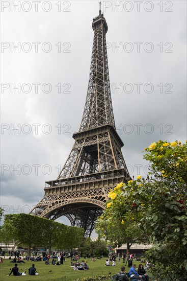 Eiffel Tower, Tour Eiffel, Paris, Ile de France, France, Europe