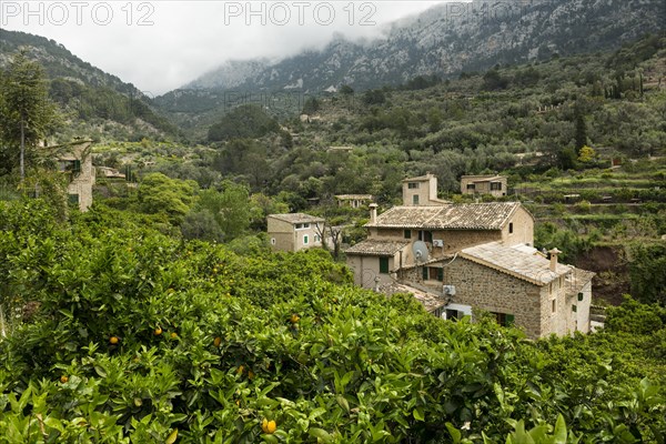 Village in the mountains with citrus plantations, Fornalutx, Soller, Serra de Tramuntana, Majorca, Majorca, Balearic Islands, Spain, Europe