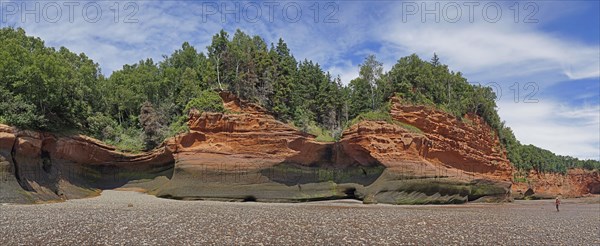 Wooded cliffs, red sandstone, Five Islands Provincial Park, Fundy Bay, Nova Scotia, Canada, North America