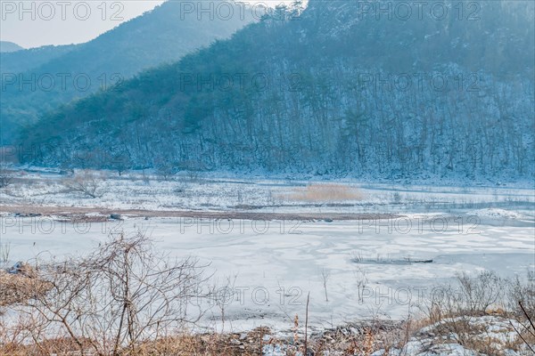 Frozen river with snow-covered trees in a tranquil winter landscape, in South Korea