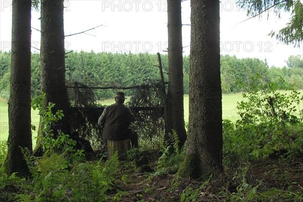 Hunter behind camouflage at the edge of the forest, Allgaeu, Bavaria, Germany, Europe