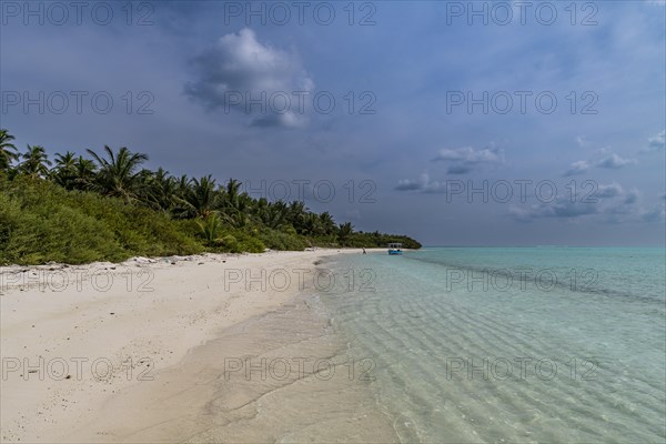 White sand beach, Parli 1 island, Lakshadweep archipelago, Union territory of India