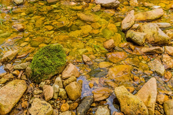 A vibrant stream flows over pebbles with a single moss-covered rock standing out, in South Korea