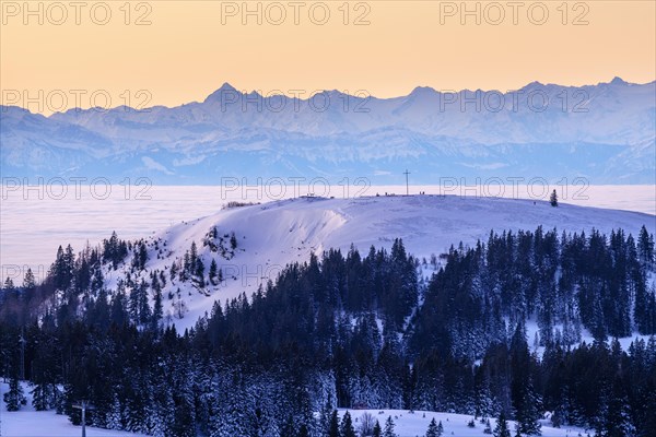 View from the Feldberg over the Herzogenhorn to the Swiss Alps, in front of sunrise, Breisgau-Hochschwarzwald district, Baden-Wuerttemberg, Germany, Europe