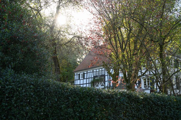 The morning sun shines through the trees and illuminates a traditional half-timbered house, Schee, Gennebreck, Sprockhoevel, North Rhine-Westphalia