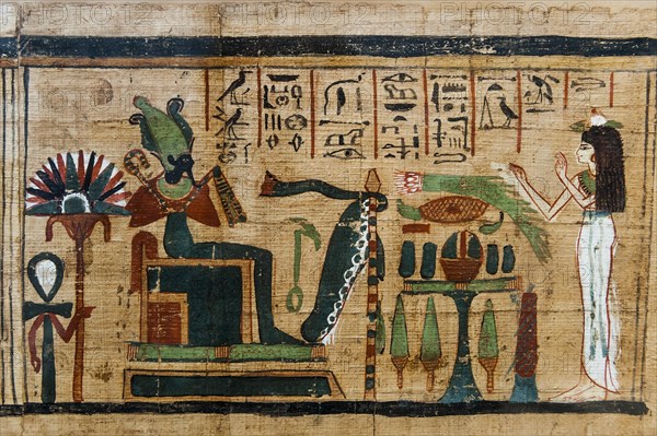 Hieroglyphs on papyrus, message, drawing, Egyptian, kingdom, antiquity, world history, history, tradition, culture, cultural history, stone, sign, language, colourful, queen, sculpture, tomb, Cairo, Egypt, Africa