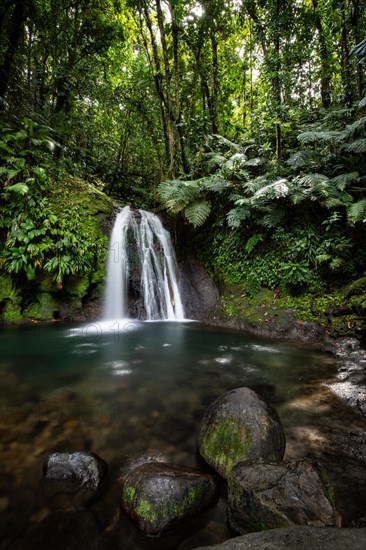 Pure nature, a waterfall with a pool in the forest. The Ecrevisses waterfalls, Cascade aux ecrevisses on Guadeloupe, in the Caribbean. French Antilles, France, Europe