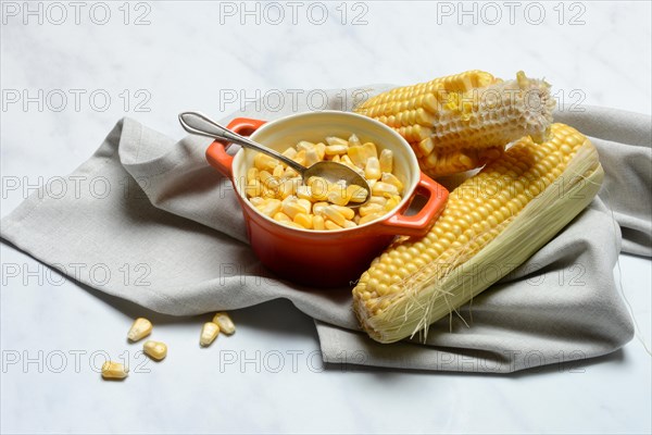 Fresh maize kernels in pots and cobs, corn (Zea mays)