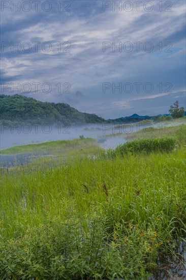 Misty landscape with morning fog lingering over green grass and rolling hills under a cloud-streaked sky, in South Korea