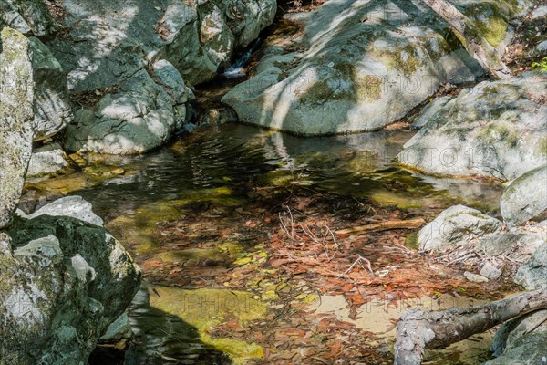 A placid pond with clear water surrounded by large rocks and forest debris, in South Korea