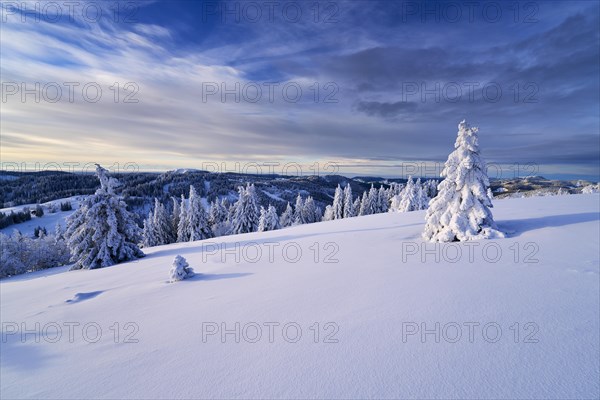 Winter on the Feldberg, Breisgau-Hochschwarzwald district, Baden-Wuerttemberg, Germany, Europe