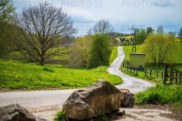A winding path leads through a spring-like landscape with green meadows, Wuelfrath, Mettmann, North Rhine-Westphalia