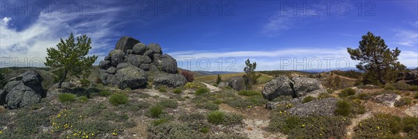 Mountain pass in the Serra Estrela, landscape, panorama, barren, mountainous, plateau, climate, climate change, heather, nature, natural landscape, geology, geography, blue sky, travel, flora, vegetation, rock, rocky, erosion, dry, dried up, Portugal, Europe
