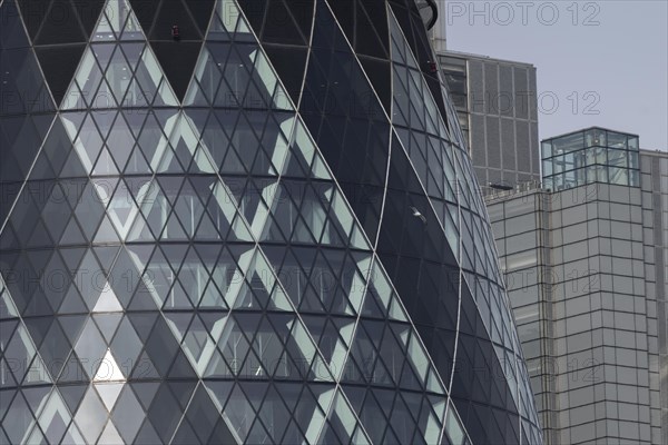 The Gherkin skyscraper building close up of window details with a Herring gull (Larus argentatus) bird flying past, City of London, England, United Kingdom, Europe