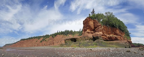 Panorama, wooded cliffs, red sandstone, Five Islands Provincial Park, Fundy Bay, Nova Scotia, Canada, North America