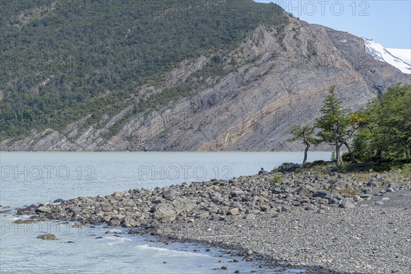 Glacial Lake, Lago Grey, Torres del Paine National Park, Parque Nacional Torres del Paine, Cordillera del Paine, Towers of the Blue Sky, Region de Magallanes y de la Antartica Chilena, Ultima Esperanza Province, UNESCO Biosphere Reserve, Patagonia, End of the World, Chile, South America