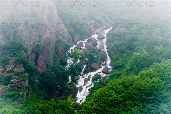 A stunning waterfall with misty waters plunging through rocky cliffs covered in greenery, in South Korea