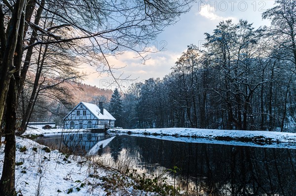 Winter evening mood with house by a pond and snow-covered trees, Kaeshammer, Gelpe, Elberfeld, Wuppertal North Rhine-Westphalia