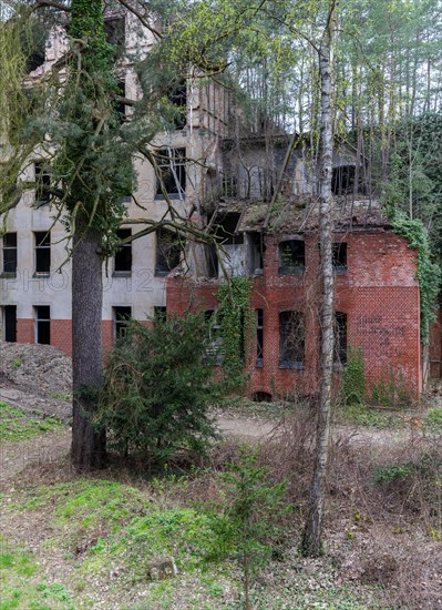 Lost Places, Heilstaetten Beelitz, Brandenburg, Germany, Europe