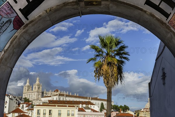 View of the Alfama, city view, tourism, travel, city trip, urban, building, historic, old town, centre, overview, cathedral, church, attraction, famous, viewpoint, architecture, palm tree, summer holiday, capital, Lisbon, Portugal, Europe