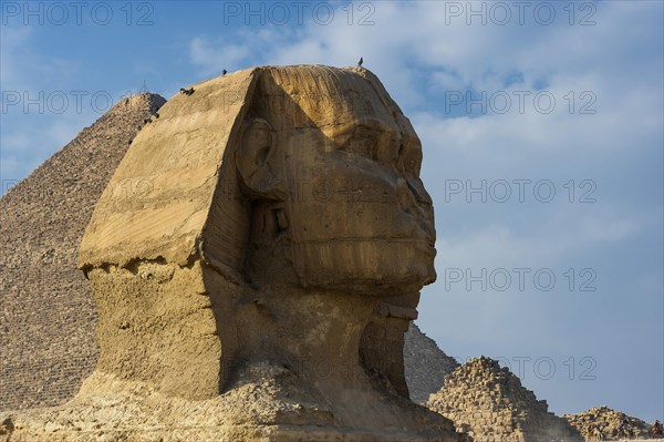 Sphinx of Giza, desert, wonder of the world, building, sculpture, monument, architecture, structure, ancient, history, history of the earth, history of mankind, monument, world history, epoch, kingdom, pharaoh, limestone, monument, human head, lion body, attraction, famous, landmark, Cairo, Egypt, Africa