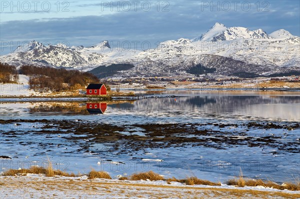A red house by a reflective water body with a snowy mountain backdrop, Lofoten