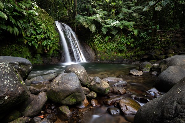 Pure nature, a waterfall with a pool in the forest. The Ecrevisses waterfalls, Cascade aux ecrevisses on Guadeloupe, in the Caribbean. French Antilles, France, Europe