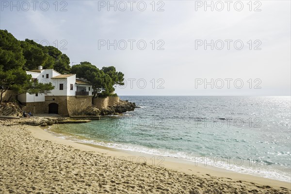 Cala Gat, Cala Ratjada, Majorca, Balearic Islands, Spain, Europe