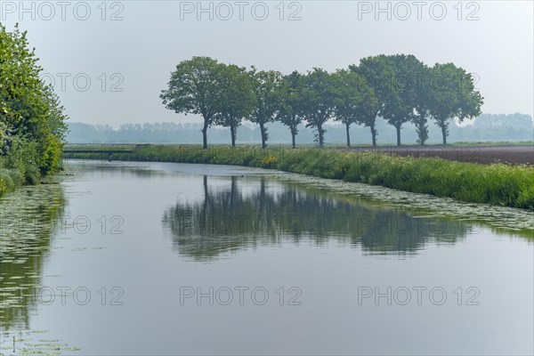 Still water surface with reflecting trees under a foggy sky