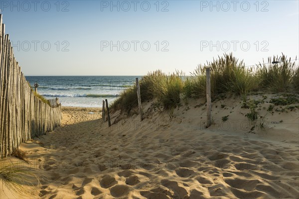 Path through the dunes to the beach, Quiberon peninsula, Brittany, France, Europe