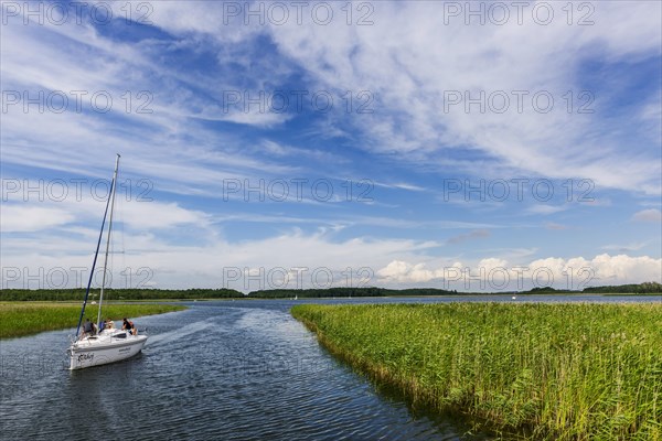 Natural landscape, sailing boat, water sports nature, puristic, reed, seaweed, water, lake, natural, travel, holiday, tourism, calm, silence, lonely, empty, seafaring, summer, holidays, landscape, outdoor, active holiday, type of travel, rural, emotion, green, clean, clear, climate, close to nature, beautiful, horizon, meditative, coast, coastal landscape, environment, quiet, Masuria, Poland, Europe