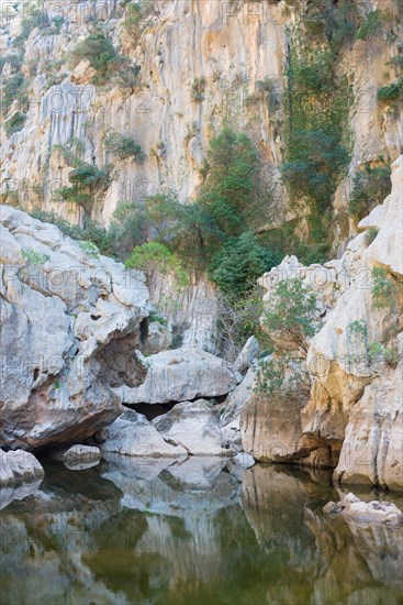 Torrent de Pareis, calm water surface in a riverbed of a mountain stream surrounded by impressive, almost white rock formations and sparse Mediterranean vegetation, steep slopes, reflection, mountains, Serra de Tramuntana, Mediterranean island Majorca, Spain, Europe