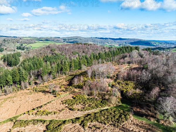 Winter over Hills and valleys in Dartmoor Park, East Dartmoor National Nature Reserve, Yarner Wood, Bovey Tracey, England, United Kingdom, Europe