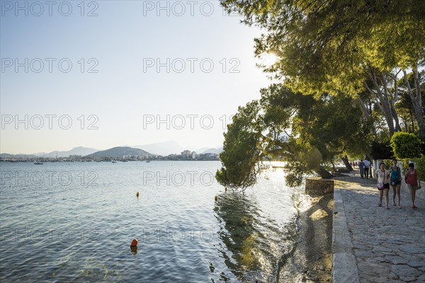 Waterfront promenade, Port de Pollenca, Serra de Tramuntana, Majorca, Balearic Islands, Spain, Europe