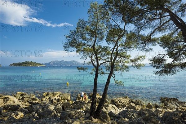 Platja Formentor, Cape Formentor, Port de Pollenca, Serra de Tramuntana, Majorca, Majorca, Balearic Islands, Spain, Europe