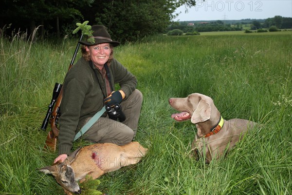 Huntress with hunting dog Weimaraner Shorthair and shot european roe deer (Capreolus capreolus) and spruce quarry at the hat, Allgaeu, Bavaria, Germany, Europe
