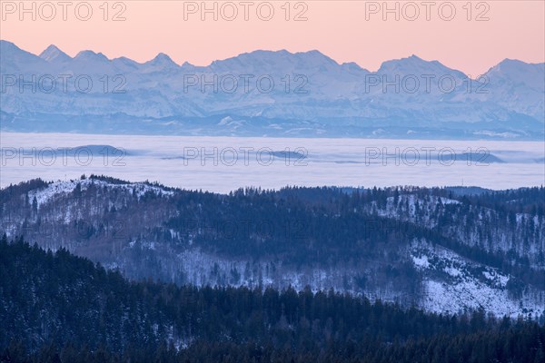 View from Feldberg to the Swiss Alps, in front of sunrise, Breisgau-Hochschwarzwald district, Baden-Wuerttemberg, Germany, Europe