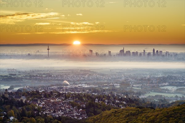 View of Frankfurt am Main, skyline at sunrise with fog, Hesse, Germany, Europe
