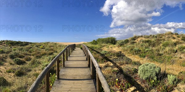 Walkway through the dune landscape, dune, beach, summer holiday, panorama, nature, natural landscape, sky, path, walkway, path, esoteric, esoteric, calm, Atlantic coast, landscape, hike, hike, heather, coastal landscape, nature conservation, travel, holiday, emotion, message, symbolic, active holiday, tourism, national park, Southern Europe, Algarve, Carrapateira, Portugal, Europe