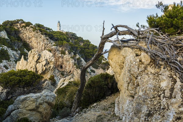 Far de Capdebera lighthouse, Cala Rajada, Majorca, Majorca, Balearic Islands, Spain, Europe