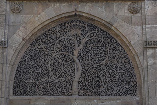 Beautiful ornamented window in the Sidi Saiyyed Mosque, Unesco site, Ahmedabad, Gujarat, India, Asia