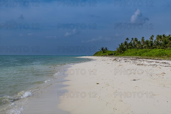 White sand beach, Tinnakara island, Lakshadweep archipelago, Union territory of India