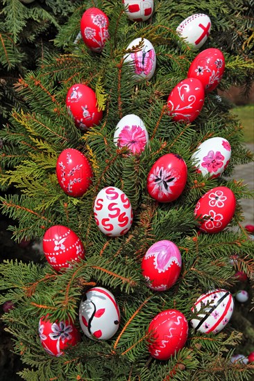 Detail of an Easter fountain in Franconian Switzerland, Bamberg district, Upper Franconia, Germany, many colourful blown-out and dyed eggs as decoration, Easter custom, Europe