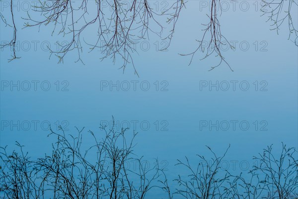 Bare branches set against a calm blue sky presenting a cold, minimalist scene, in South Korea