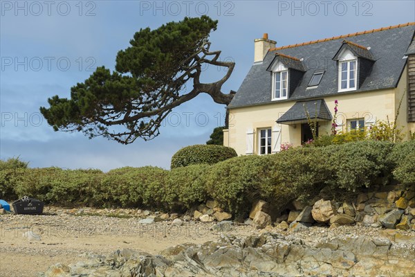 Houses on the beach, Plougrescant, Cote de Granit Rose, Cotes d'Armor, Brittany, France, Europe